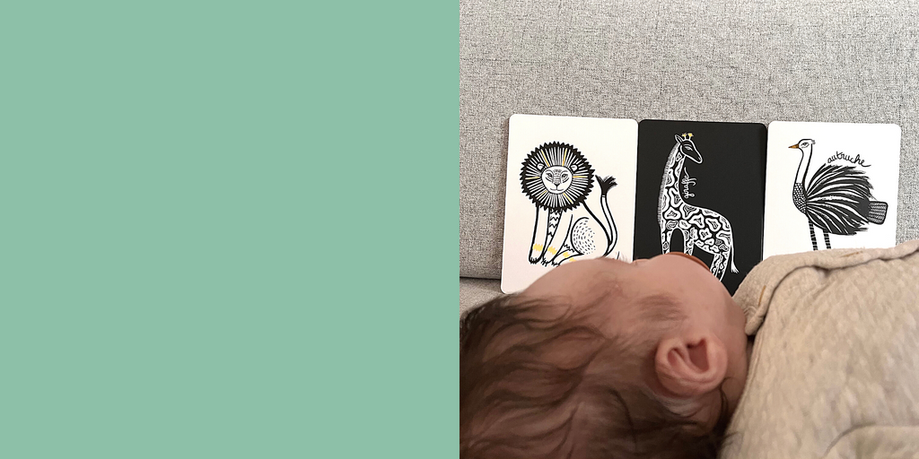 kit naissance de 7 dessins pour bébé recto verso noir et blanc sur le thème des animaux de la savane