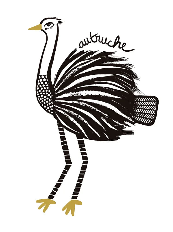 animaux autruche blanc