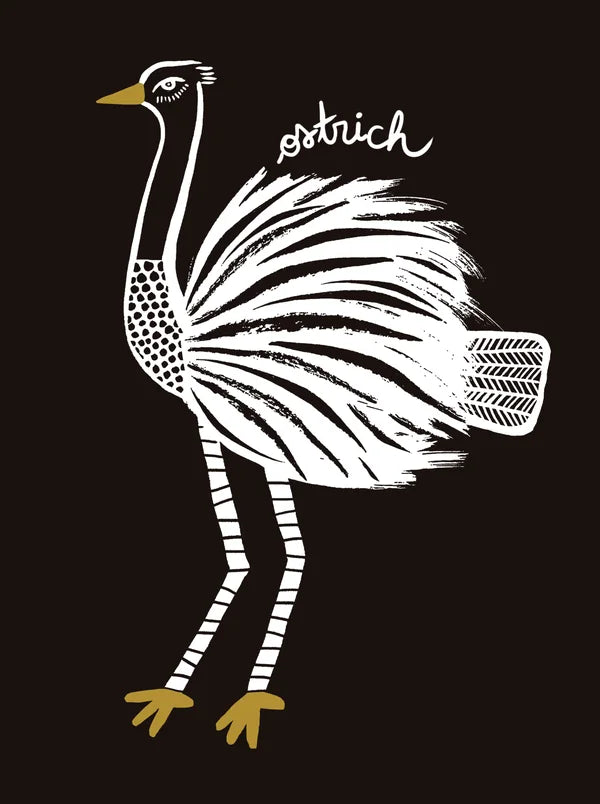animaux autruche noir