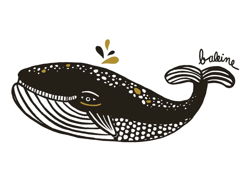 animaux baleine blanc